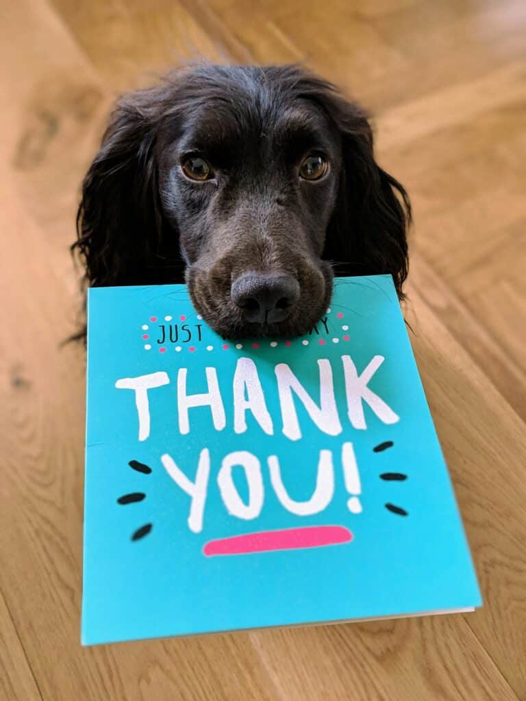 Dog holding thank you card in mouth