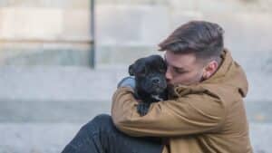Young man hugging staffie dog