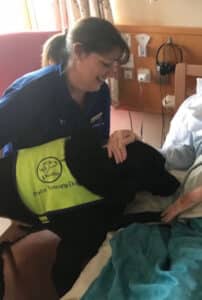 Therapy dog visiting patients bed