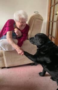 Therapy dog shaking paw with patient
